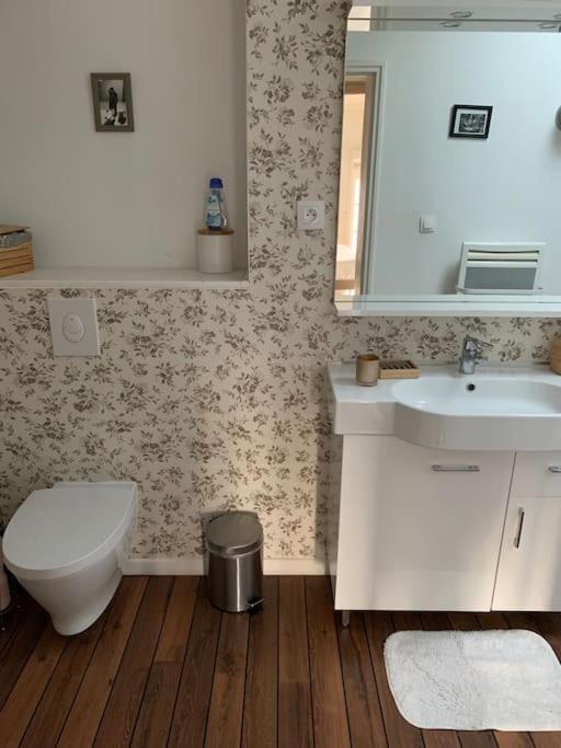 Appartement Duplexcoeur De Ville Metz Bagian luar foto